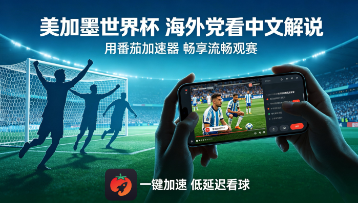 在国外看世界杯中文直播无法播放教程